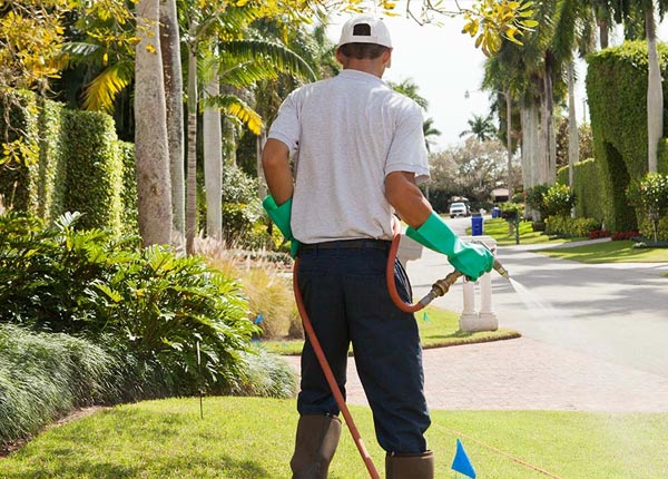 About Rancocas NJ Pest Control Pros